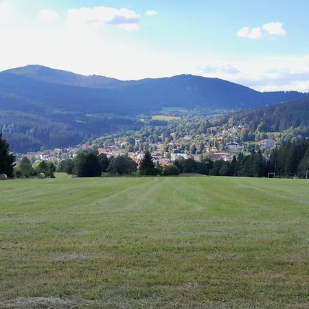Apartman Železná Ruda エクステリア 写真