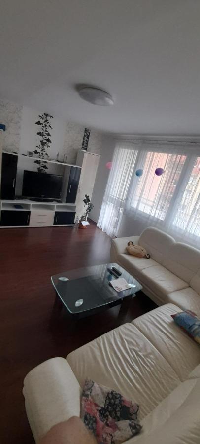 Apartman Železná Ruda エクステリア 写真