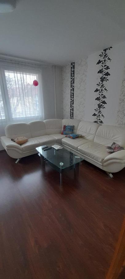 Apartman Železná Ruda エクステリア 写真